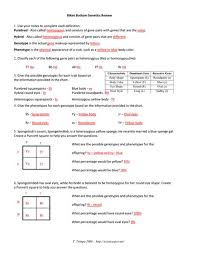 Librivox is a hope, an experiment, and a question: Spongebob Genetics Answer Key Page 3 Bikini Bottom Genetics Review Name Instantly Share Code Notes And Snippets Bellej Hoax