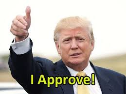 Hugo's Garage, 12099 31 Mile Rd, Washington, MI 48095, US