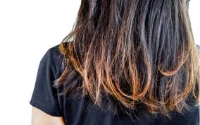 The height of the ponytail on the back of the woman's head. Unprofessional Hairstyles 30 Styles To Avoid