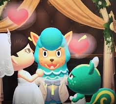 Character nibbles (animal crossing) character olivia (animal crossing) havent uploaded an animal crossing inflation since the last one, so here it is here's olivia, blown up like a balloon, and nibbles laying on top on her So I Decided To Get Married To My Favorite Villager Nibbles Animalcrossing