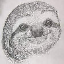 Sloth Sketch By Suboshigrl On Deviantart Animal Drawings Sketches Sloth Drawing Animal Drawings