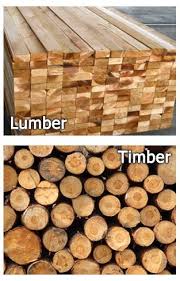 Lumber Vs Timber What S The Difference Read More At Bisonbuilt Tumblr Com Post 112899712484 Lumber Vs Timber Whats The Difference Lumber Timber Wood