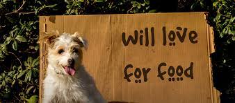 Maybe you would like to learn more about one of these? Friends Of Long Beach Animals
