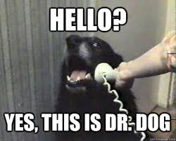 Hello Yes This Is Dr Dog Yes This Is Dog Quickmeme