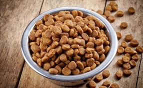 Recette De Croquettes Pour Chien Et Chat Fait Maison Croquette Pour Chat Recettes De Nourriture Pour Chien Croquette Pour Chien
