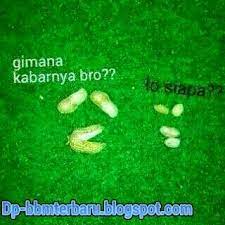 1) orang yang dahulunya miskin setelah menjadi kaya, lupa akan asal usulnya, 2) seseorang yang menjadi sombong, tidak tahu diri, dan lupa akan asal usulnya. Kacang Lupa Kulitnya Gambar Kata Kata Dp Gambar Kulit Lucu