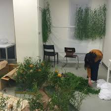 Ebtcard Https Www Instagram Com P Q Gs Ye8s Plant Aesthetic Plants Green Aesthetic