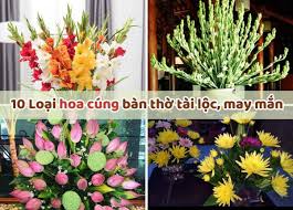 10 Loại Hoa Cúng Bàn Thờ Tài Lộc Và Ý ...