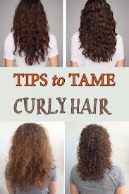 Tips To Tame Curly Hair Taming Curly Hair Curly Hair Styles Dry Curly Hair