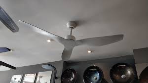 Acorn Fan 52 40 Inches Ceiling Fan Ceiling Lights