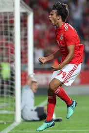 Benfica wonderkid joao felix continued his meteoric rise this week by hitting the back of the net against setubal, and in doing so produced a heartwarming scene featuring his little brother. Pin On Football