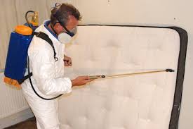 Orkin bed bug detection service gets to the root of the problem with targeted inspections of common bed bug hiding places in your home and ongoing monitoring to ensure the pests never return. Bed Bug Pest Control Service In Vadodara Gorwa By Ideal Pest Control Services Id 10974679955