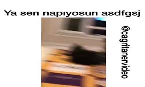 Takla Atan Kedi Seyredelim Com
