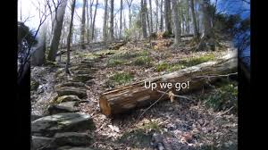 Maybe you would like to learn more about one of these? Zoar Trail Newtown Ct Hiking Paugussett State Forest Youtube