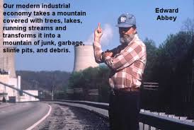 Edward Abbey quotes | Michael Greenwell via Relatably.com