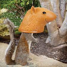And after searching online for squirrel deterrents, sally, from ipswich, suffolk, found a. Duncraft Com Big Head Squirrel Feeder