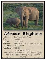 Endangered Animals Information Posters And Trading Cards Endangered Animals Information Endangered Animals Animals Information