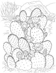 Fig graphic tree color branch isolated sketch vector. Printable Coloring Pages For Adults 15 Free Designs Everythingetsy Com