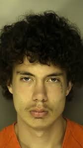 Warrants: 18-year-old shot man in chest during drug deal near Conway