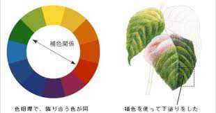 語句の説明 塗り方講座 大人の塗り絵クラブ 塗り絵 色鉛筆 塗り方 大人の塗り絵 色鉛筆
