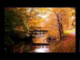 Pin On Scottish Music