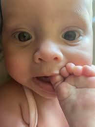 Can someone provide a ride to pick up an emotional support cat?