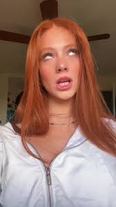 Sugar Crash Harley Haisley