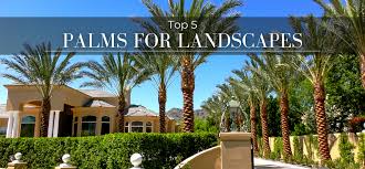 We did not find results for: Top 5 Palms For Landscapes