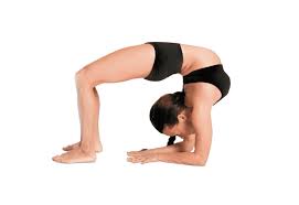 Yoga Exercise Your Healthy Mind In A Healthy Body Fitzabout Wheel Pose Flexibility Workout Poses