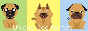 Other popular female dog names inspired by pop culture characters include bella (twilight) and luna (harry potter). Unique Dog Names