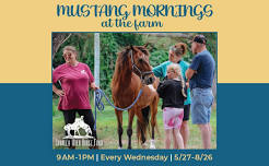 Mustang Mornings