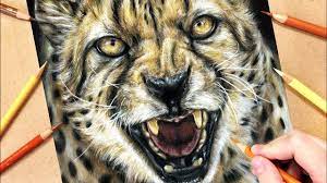 How To Draw A Cheetah Using Coloured Pencils Realistic Animal Drawing Tutorial Youtube Realistic Animal Drawings Animal Drawings Realistic Drawings