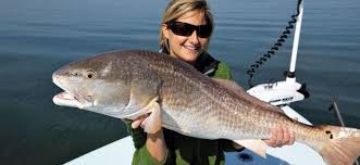 Surf fishing gulf shores help. Alabama Fly Fishing Guide Alabama Fly Fishing Charters
