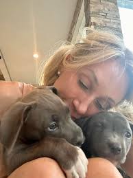 Always & Furever Adoptable Pets