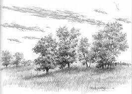 Drawing patches of grass grass clumps drawing Draw Pine Foliage Pencil Drawings Of Nature Grass Drawing Landscape Drawing