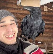 Amazing Raven Moments