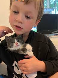 Nanette Olsen's Instagram, Twitter & Facebook