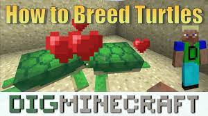 If you are having trouble finding turtles eggs, you can breed turtles to create a nest of turtle eggs (or clutch of turtle eggs). How To Breed Turtles In Minecraft