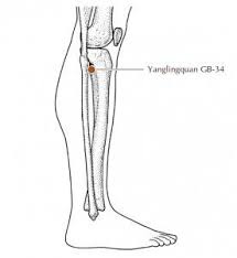 Acupuncture Point Helps Parkinson S Disease Parkinsons Disease Acupunture Parkinsons