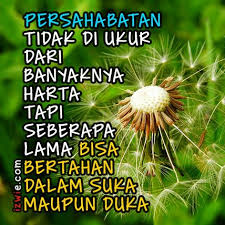Artikel berikut ini memuat kutipan kata kata mutiara untuk sahabat sejati, koleksi terbaik yang kami miliki. Pin Di Kata Kata 1