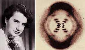 Rosalind Franklin 1920 1958 Who Had A Major Role In The Discovery In The Structure Of Dna Franklin Rosalind Franklin Women Scientists X Ray Crystallography