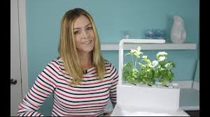 The click and grow smart garden has so many purposes. Click And Grow Smart Garden 3 Review Youtube