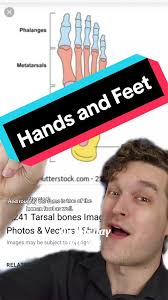 Is Today A Bones Day