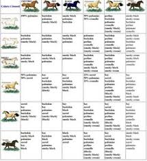 40 best horse color chart images in 2019 horse color chart