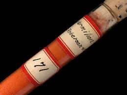 Image result for Vermillion 1993 Mercury