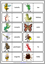 Spiders have eight legs and only two main body parts, so they are not classified as insects.) Insects Esl Vocabulary Worksheets