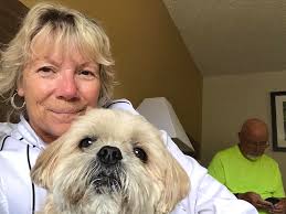 What CBD oils are recommended for dogs with seizures?