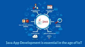 At Savvycom Java Is One Of The Many Options We Give Our Customers If You Need A Java Development Company Lo App Development Development Internet Programming