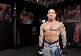 Joe Rogan On Benefits Of Jiu Jitsu Being In Great Shape At 46 Years Of Age Ufc Joe Rogan Ufc Fighters