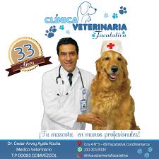 Clinica Veterinaria Facatativá Dr Cesar Ayala